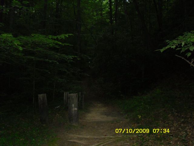 268.jpg (large)