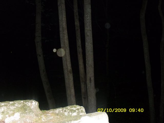 417.jpg (large)