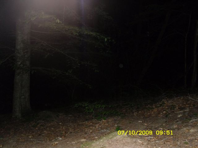 451.jpg (large)